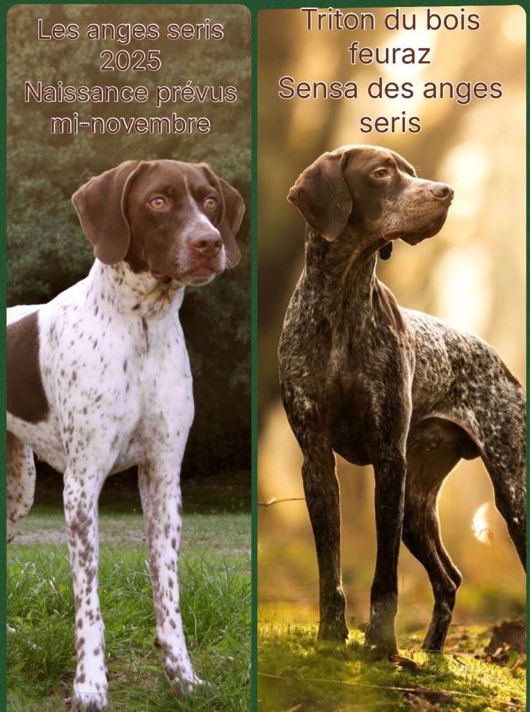 Des petits anges arrivent sur terre